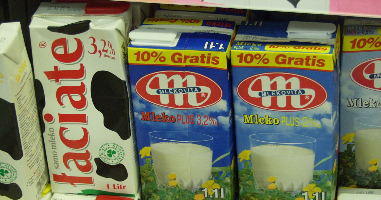 Mlekovita jest największym eksporterem produktów mleczarskich w Europie Środkowo-Wschodniej. Fot. Stefan Zubczewski. /Reporter