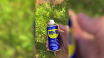 Młody chłopak do opalania używa... WD 40. Czy na pewno?