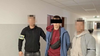 Młody Ukrainiec wydalony z Polski. Dilerka i znęcanie się nad partnerką