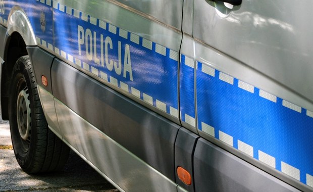 ​Młotkiem dobił ranną sarnę. 68-latek z zarzutami