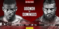 MMA. Izu Ugonoh zmierzy się z Quentinem Domingosem na KSW 54