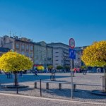 Mniej betonozy na dużym, krakowskim placu. Co posadzą?