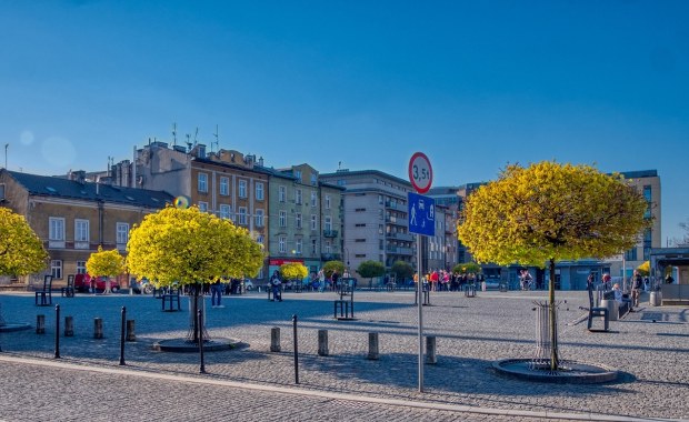 Mniej betonozy na dużym, krakowskim placu. Co posadzą?