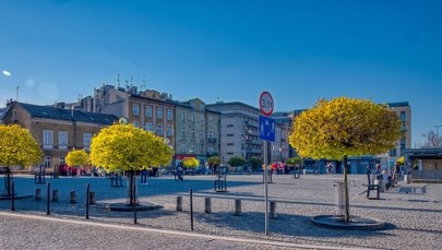 Mniej betonozy na dużym, krakowskim placu. Co posadzą?