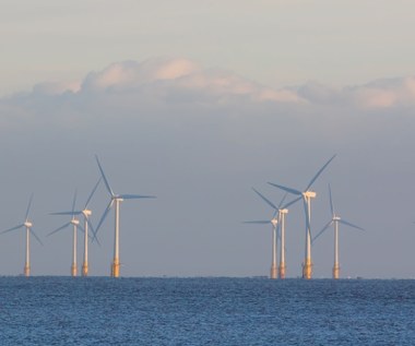 Mniej miejsca na morskie farmy wiatrowe na Bałtyku