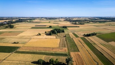 Mniej niż kilometr kwadratowy i kilka domów. Oto najmniejsza wieś w Polsce