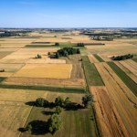 wieś Mniej niż kilometr kwadratowy i kilka domów. Oto najmniejsza wieś w Polsce