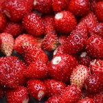 Mniej popularne od truskawek, a szkoda. Poziomki oczyszczają z toksyn i wspierają trawienie 