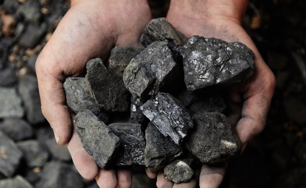 Mniej węgla w e-sklepie PGG