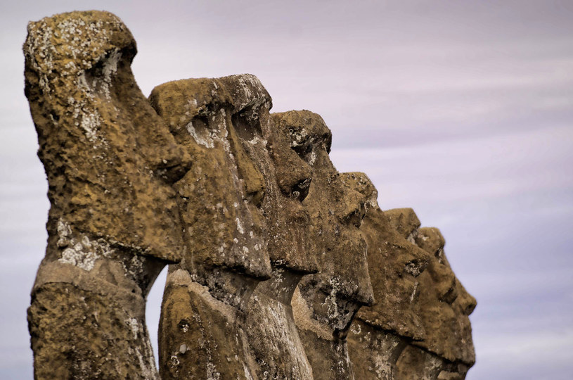 Moai - niezwykłe posągi o kształcie twarzy /AFP