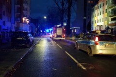 Mocno wieje nad Bałtykiem. Powalone drzewa w Kołobrzegu 