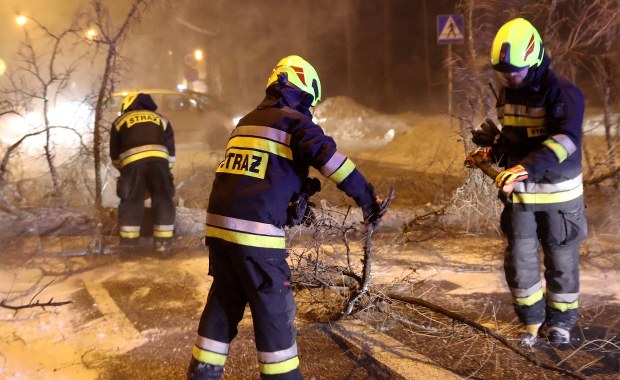Mocny wiatr na Pomorzu. Drzewo spadło na samochód. Nie żyje dziecko