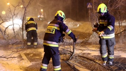 Mocny wiatr na Pomorzu. Drzewo spadło na samochód. Nie żyje dziecko
