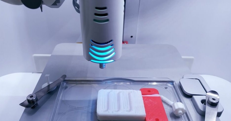 Model bionicznej trzustki w trakcie druku /materiały prasowe