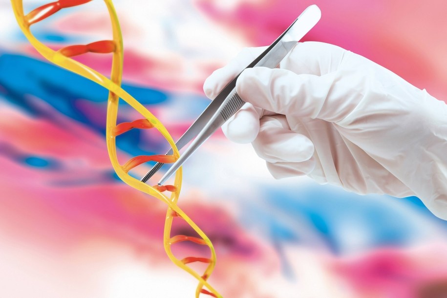 Noblista: Prawdziwych przełomów w nauce przemysł nie finansuje