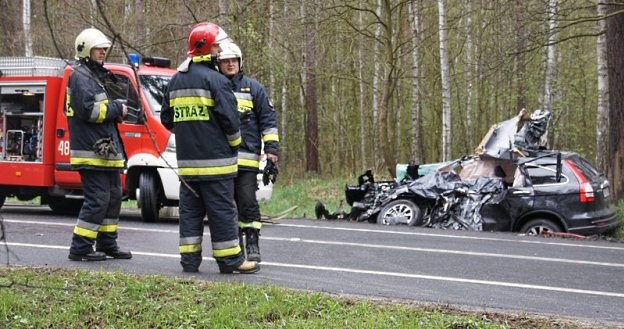 Model można rozpoznać wyłącznie po tylnej części pojazdu / Fot: Piotr Twardysko /Reporter