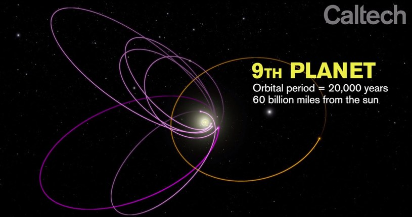 Model orbit ciał Pasa Kuipera uwzględniający istnienie 9 planety /materiały prasowe