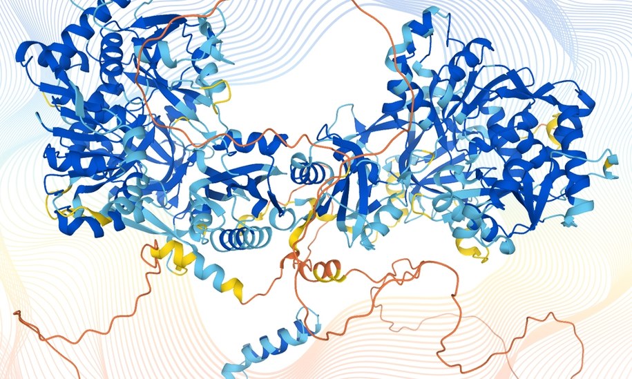 Model struktury białka DIP2B wg. AlphaFold /Karen Arnott (EMBL) /Materiały prasowe