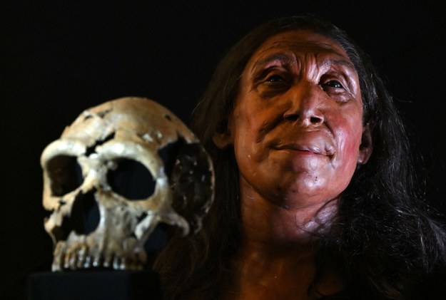 Model twarzy Neandertalki sprzed 75 tys. lat /JUSTIN TALLIS /East News/AFP