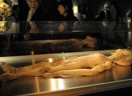 Model znajdujący się na wystawie "The Science of Aliens" w Tokio przedstawia kosmitę z Roswell. /AFP