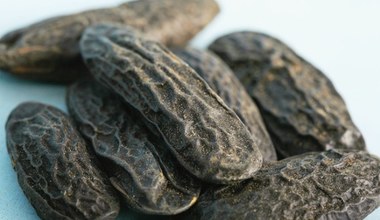 Modna przyprawa coraz częściej zastępuje wanilię. Ostrożnie z ilością