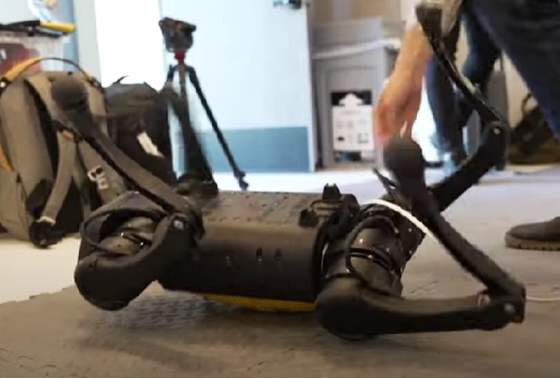 Moduł sztucznej inteligencji nauczył się, co robić, aby robot stał na czterech nogach /YouTube