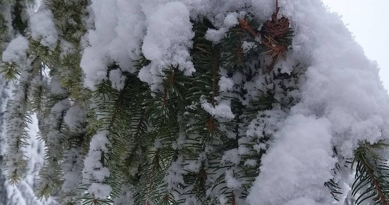 Modyń – Góra Zakochanych [ZDJĘCIA]