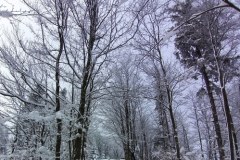 Modyń – Góra Zakochanych 