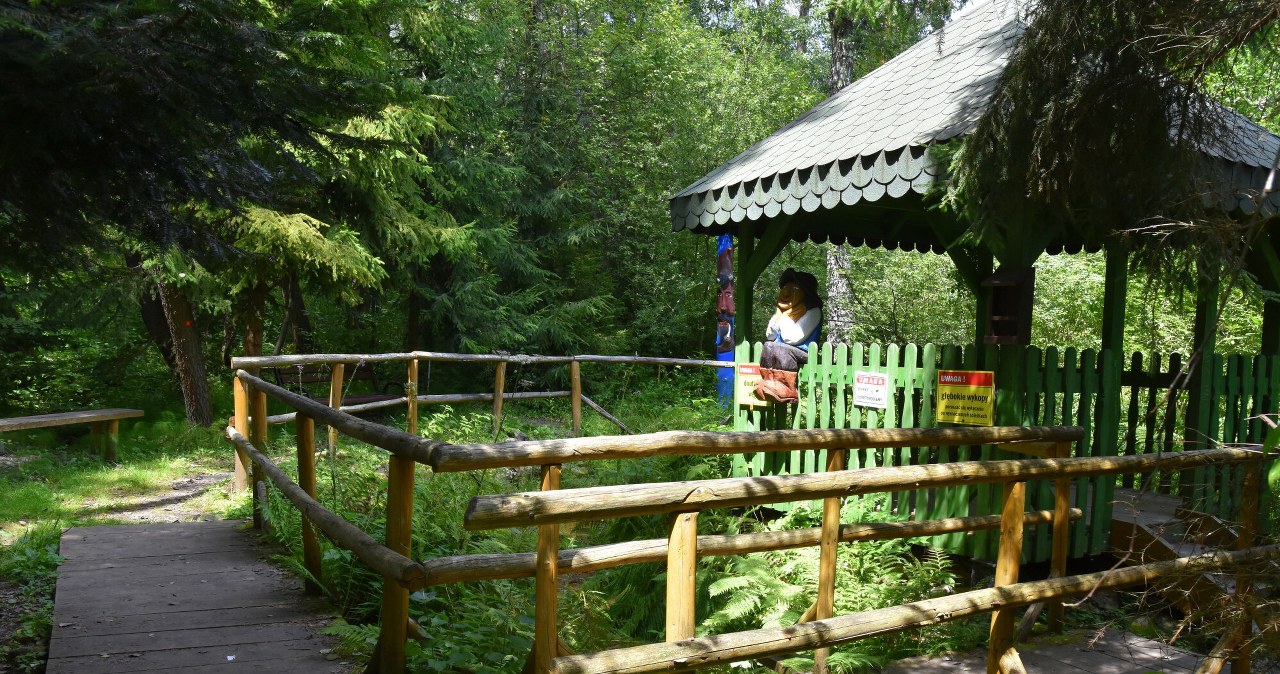 Mofeta w Tyliczu to wyjątkowa atrakcja na mapie Beskidów /Albin Marciniak /East News