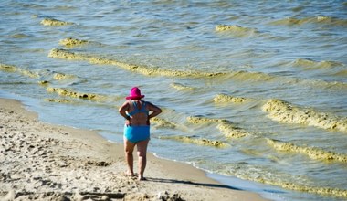 Mogą zrujnować wakacje nad Bałtykiem. Kąpiel przypłacisz wieloma dolegliwościami