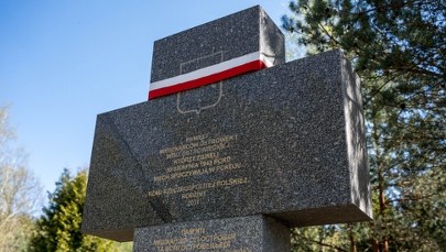 Mogiła Polaków na Wołyniu? "Szukamy zbiorowego grobu"