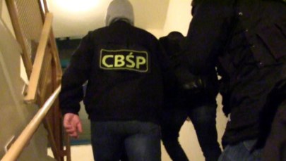 Mogli wyłudzić z UE ponad 80 mln zł. Siedem osób zatrzymanych przez CBŚP