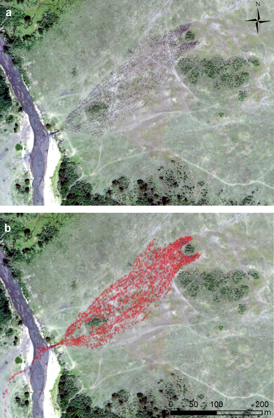 Mogracja gnu przez rzekę. Obraz satelity Worldview-3, 8 października 2020, Maxar Technologies. /Tiejun Wang. /Materiały prasowe