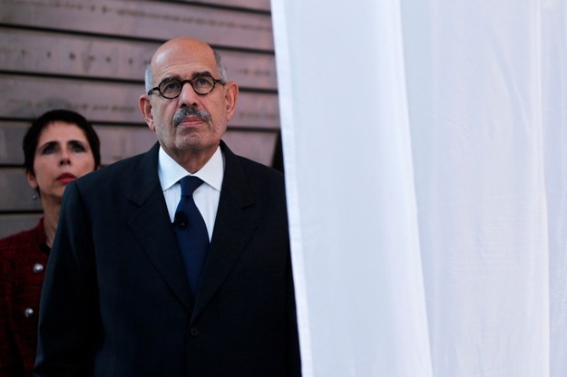 Mohamed ElBaradei /JOSE SENA GOULAO /PAP/EPA