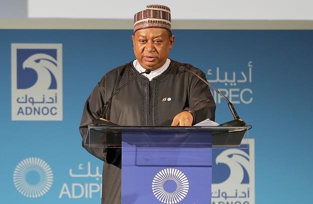 Mohammed Barkindo, generalny sekretarz OPEC /AFP