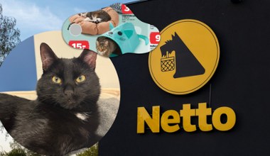 Mój kot ignoruje większość zabawek. Te z Netto od 9 zł go wciągnęły