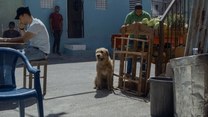 "Mój pies Artur" [trailer]