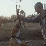 "Mój pies killer" [recenzja]: Przyjaciele na dobre i na złe