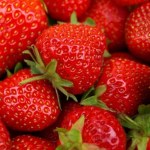 Moja babcia sadzi tylko te truskawki. Są soczyste i słodkie, jak landrynki 