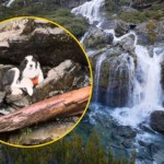 Mokra i wyczerpana czekała tydzień na właścicielkę. Poruszająca historia z happy endem