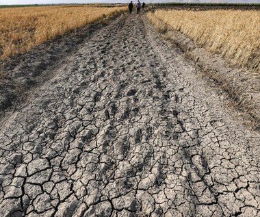 ​Mołdawia i Rumunia ograniczają dostęp do wody pitnej z powodu suszy