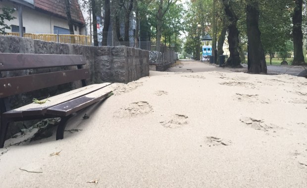 Molo w Sopocie ponownie otwarte. Plaża przeniosła się natomiast... do parku