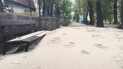 Molo w Sopocie ponownie otwarte. Plaża przeniosła się natomiast... do parku