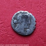 Moneta sprzed 2 tysięcy lat. Niezwykłe znalezisko na Lubelszczyźnie
