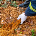 Monety i średniowieczna broń. Odkrycia w lasach Wzgórz Bukowych