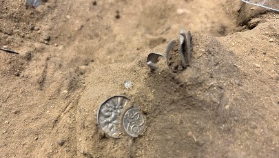 Monety wikingów na polu kukurydzy. Niektóre kazał bić sam Sinozęby 