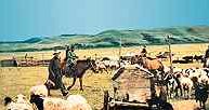 Mongolia, pasterze /Encyklopedia Internautica