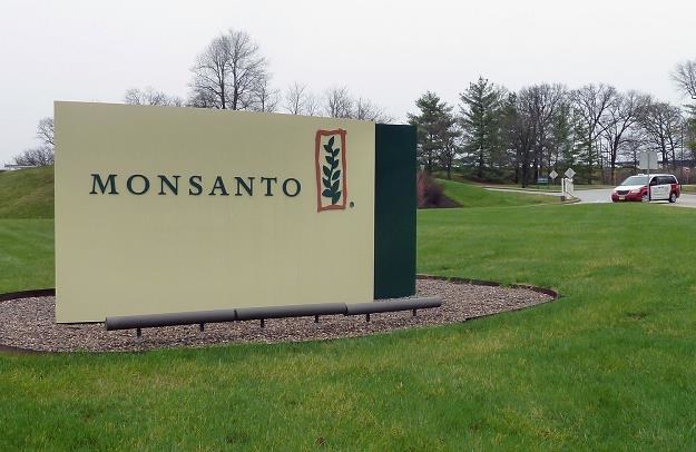 Monsanto, siedziba w  St. Louis, Missouri /AFP