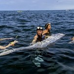 Monstrualnie wielka ryba wyrzucona na plażę. Ma zwiastować nieszczęście