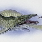 Monstrualny drapieżnik znaleziony w Afryce. Wielkie szczęki, 9 metrów